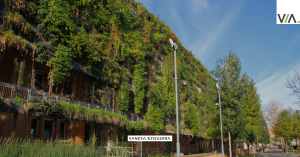 Descubriendo el Encanto Sostenible: Arquitectura Passivhaus