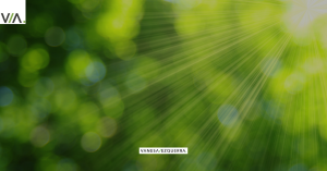 Un Enfoque Verde para un Estilo de Vida Sostenible